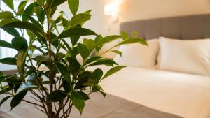Costa Domus Blue Luxury Apartments Halkidiki Greece