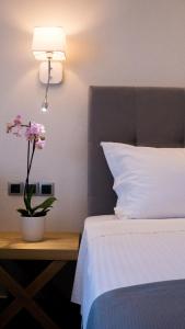 Costa Domus Blue Luxury Apartments Halkidiki Greece