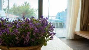 Costa Domus Blue Luxury Apartments Halkidiki Greece