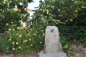 Apartmani Anđela i Mladen Debelić