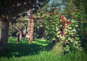 Theocharis Paradise