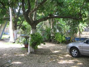 Hostal Roldan