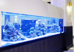 Burke and Wills Hotel Toowoomba