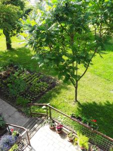 Gästehaus Kuchernig