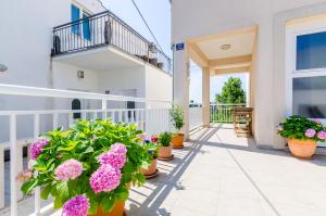 Apartments Pavle 