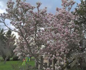 gîte du Clos Sébastien