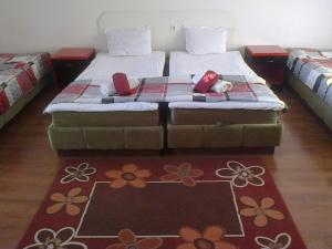 Guesthouse Geshevi