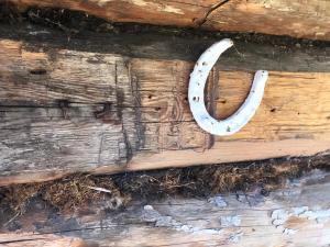 Lootsimaja - Pilots House - Orjaku Harbour