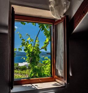 Holiday Home Vineyard House