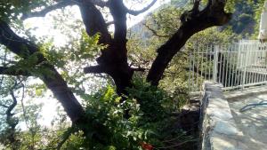 Apartments Perazica Do