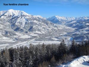 Appartement T4 esprit chalet jolie vue PRA LOUP 1600