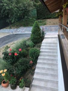 Apartmani Izvor - Tuheljske Toplice