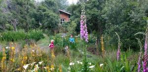 Boutique Vintage Forest Cabin