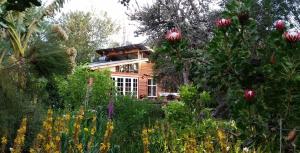 Boutique Vintage Forest Cabin