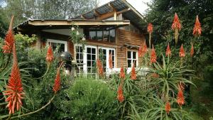 Boutique Vintage Forest Cabin