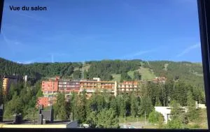 Appartement T4 esprit chalet jolie vue PRA LOUP 1600 - Faucon-de-Barcelonnette