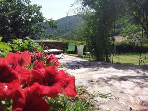 Campagna in Compagnia