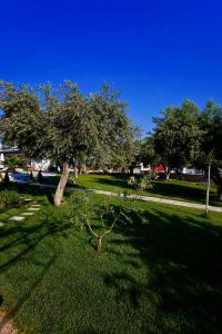 Flegra Palace Halkidiki Greece
