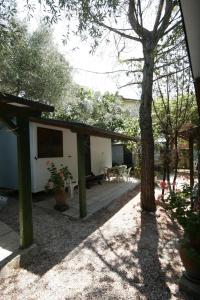 Camping Reno