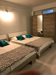 Edu&Alice - 艾福雷诺德