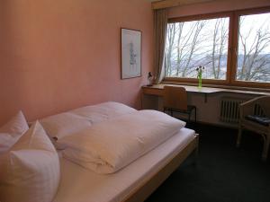 Humboldt Haus Achberg Germany J2ski