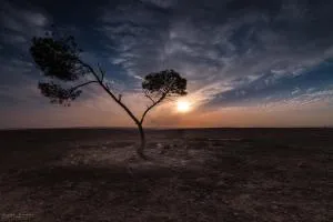 Or Gani - 阿拉德 Or Gani - 阿拉德