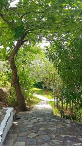 Angelina Studios Skiathos Greece