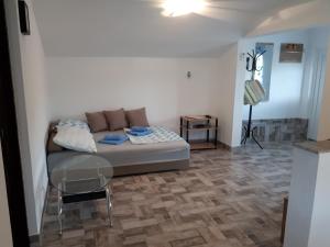 Apartments Anicic Coric