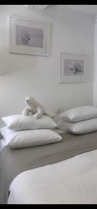 Appartements La Taniere de l'Ours Blanc Aubagne-Cassis-Aix en Provence : photos des chambres