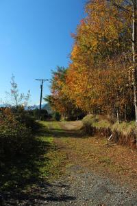 Cabañas Mas Ke Miel