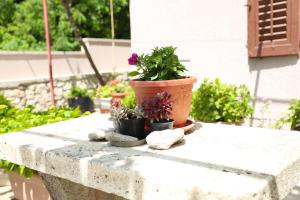 Štinjan apartmani Elda