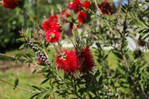 Štinjan apartmani Elda
