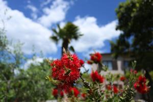 Štinjan apartmani Elda