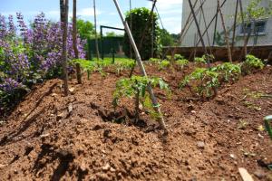 Štinjan apartmani Elda