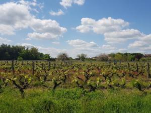 B&B / Chambres d'hotes Cottages et B&B de Troussay : photos des chambres