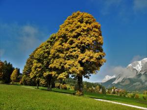Eggerhof - Ferienhaus