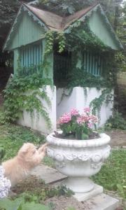 Casa "Dolina Kraljevac"