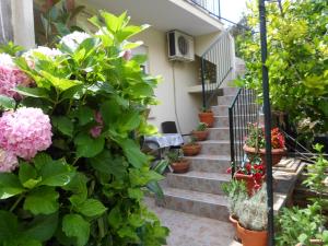 Apartments Marin Tomas