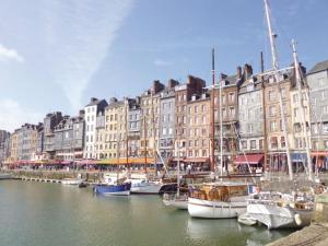 Appartements Les Fontaines Saint Leonard : photos des chambres