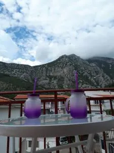 Apartments Vitic - Sutomore