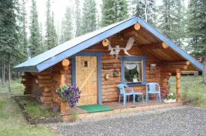 Fox n Fireweed Cabins - توك