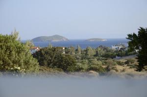 Spanos Apartments Andros Greece