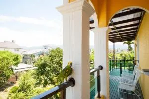 微阳花弄 - Shun-an-ts'un