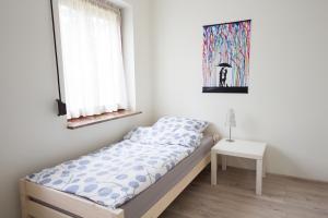 Apartament Zebcowska