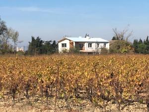 Maisons de vacances Domaine Limouzy : photos des chambres