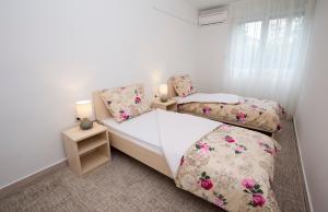 Apartments Put Plokita Smilja