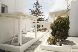 Gelos House Myconos Greece