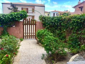 Cycas img12