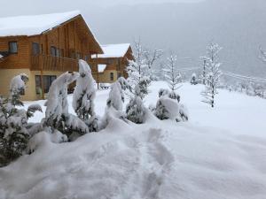 Appartements Les Chalets Fleurs de France - KOTA : photos des chambres