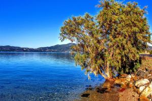 Beach house Lesvos Greece